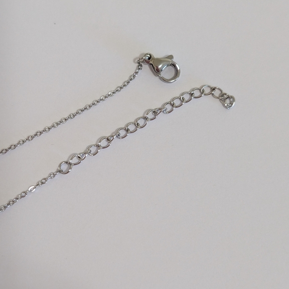 Stainless Steel Chain With Rhodonite Pendant - Picture 6 of 6